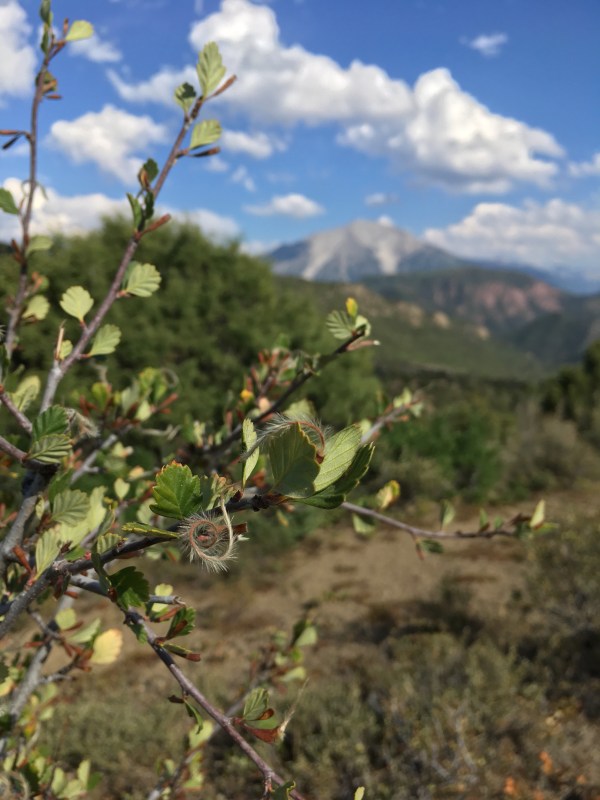 Affording life in the Roaring Fork Valley is never easy. But in the towns of Aspen, Glenwood Springs, Basalt and Rifle, people somehow make it work.